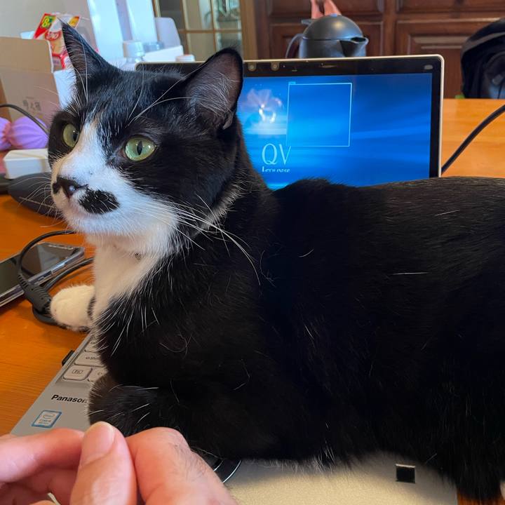 1beff09c b112 4053 b7cc 44811fab67fe 1666324973987