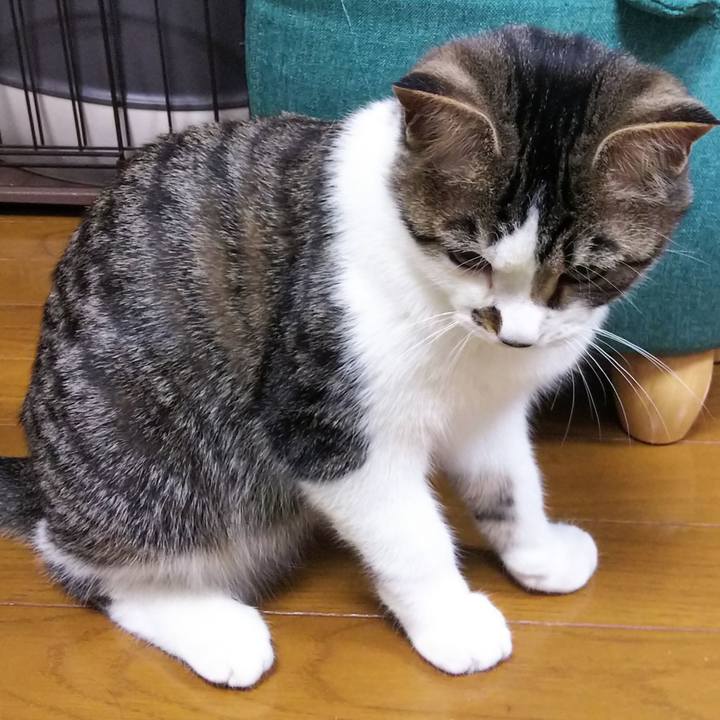 1bf04e9b 0d5e 4375 94fd b742d07e095a 1615810817488