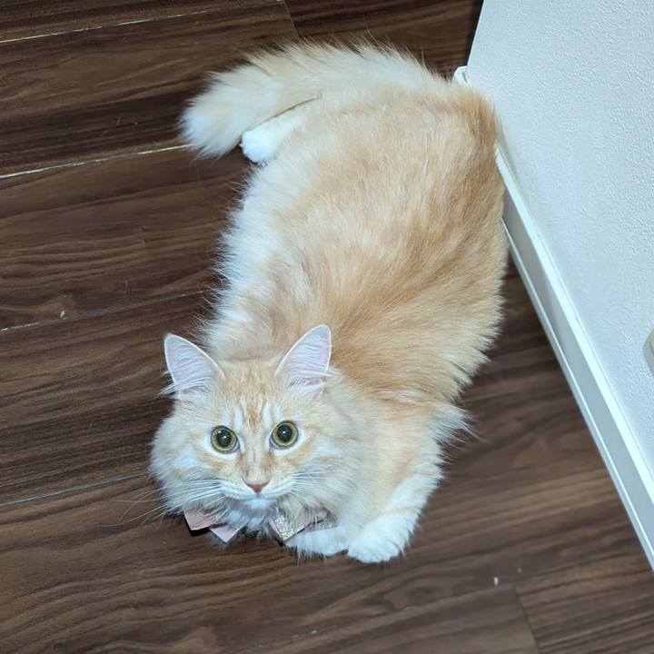 1bf077e2 ef88 457c 8b17 5cfeaac392cc 1727993460710