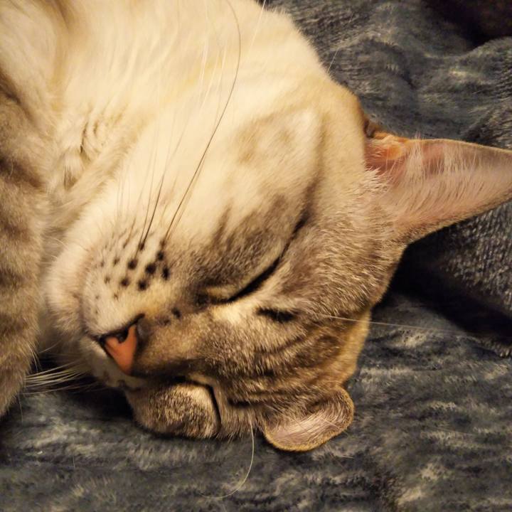 1bf07da1 f6cc 435e b375 0a70147a2c4a 1549802771638