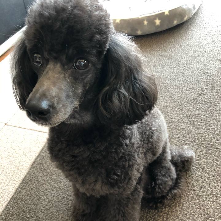 1bf08c3a 8626 4f72 abb1 602fc715c8bf 1585892316600