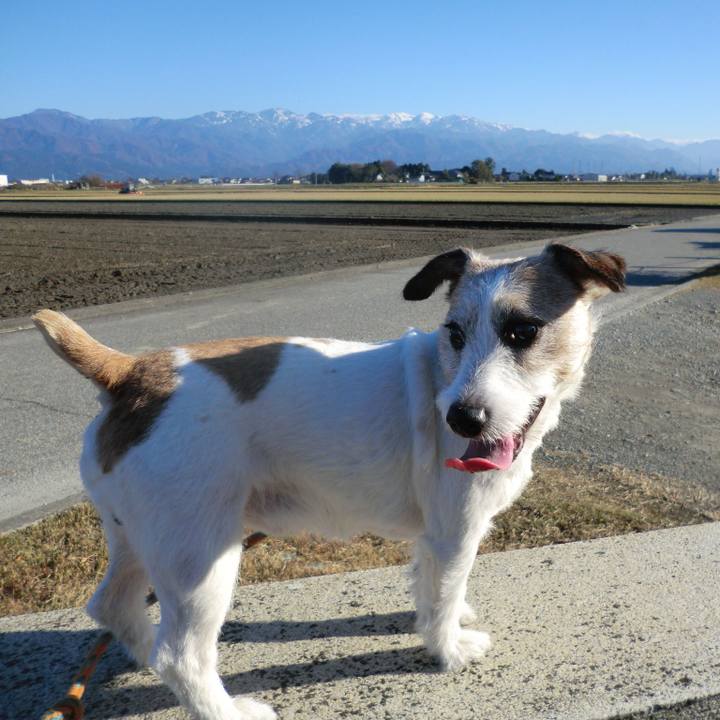 1bf092c7 51cd 449f a82d 358698d322d3 1574494485742