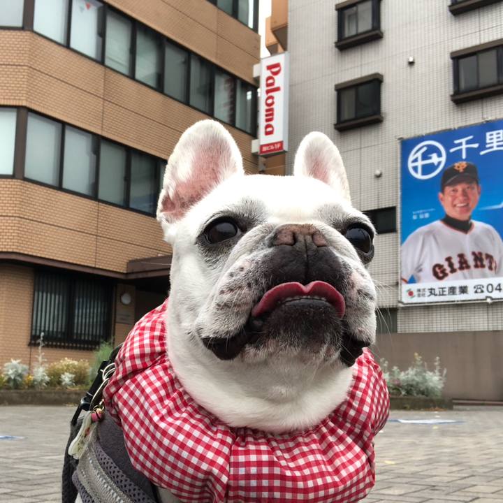 1bf0ac2e 7df4 4372 97a5 76d7ebc310e6 1684453570950