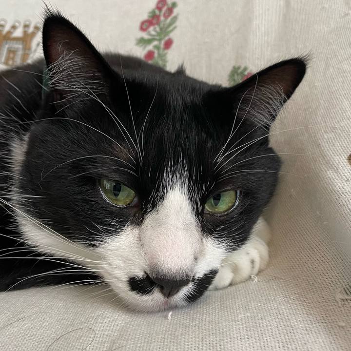 1bf0be1c d9d9 4892 bef5 7f297f6779bd 1706483603233