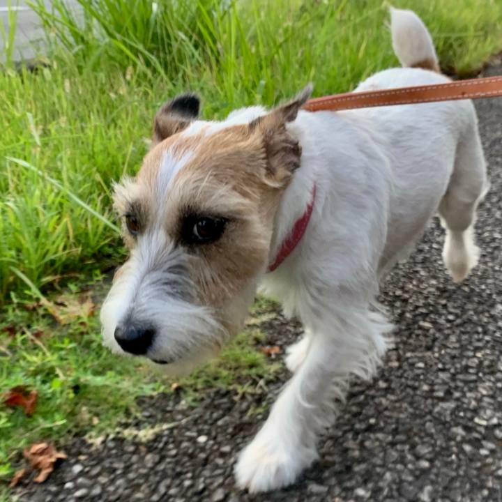 1bf0d987 2244 4b2f af3f 217625d86ea7 1661303051471