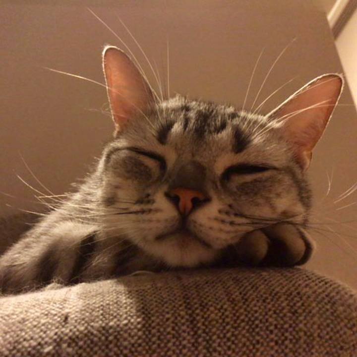 1bf0ece4 4181 47cf 9f0a f71acfee412d 1529052982473