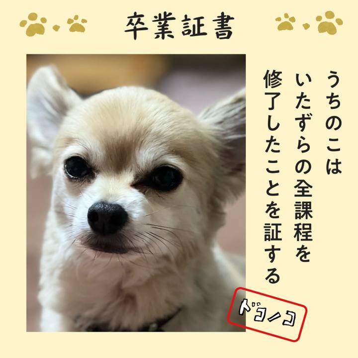 1bf0f54a b769 460d b020 152305ee02b2 1772018646850