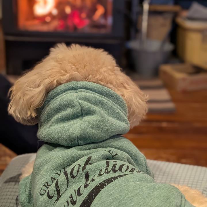 1bf111bf 67de 44df b019 21cbaa170737 1761893821594