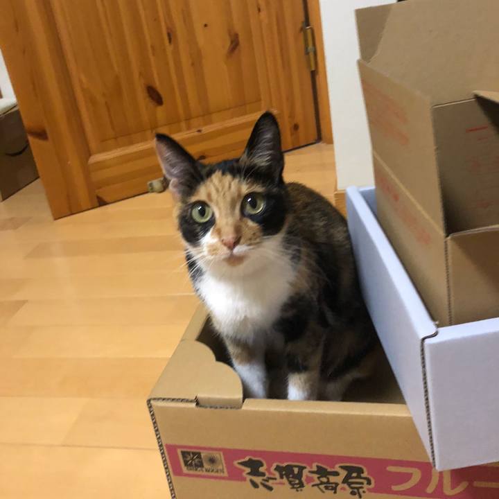 1bf12426 6de0 4a3d 9563 3314120179b5 1566552131114