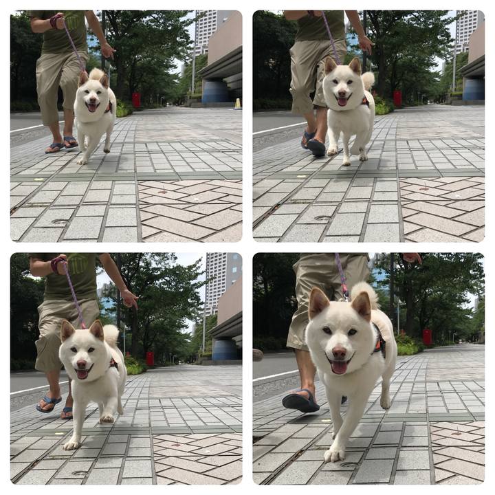 1bf12787 4c45 4b5b 8df4 c5ebfa48023e 1530931811495