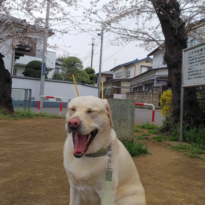 1bf15667 da38 46db afa7 cbaca225e46e 1553737646392