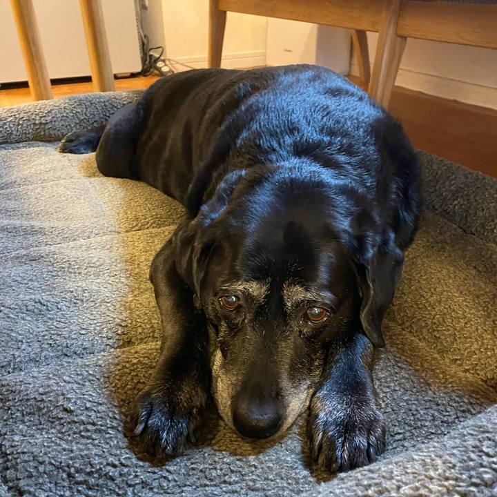 1bf1e355 d259 49e0 95e0 60a680c8273b 1642915599521