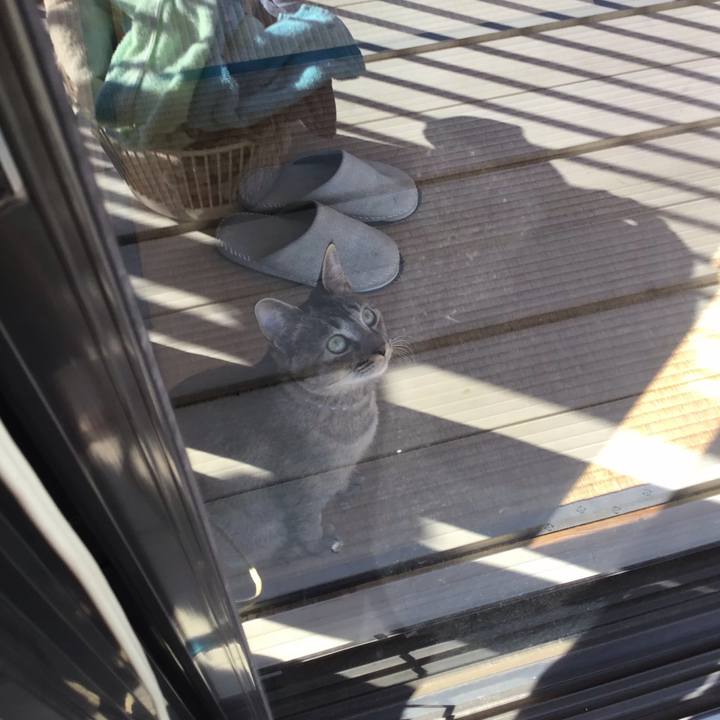 1bf1f7bf 5447 417e bc2b f6375ba9c5ae 1581231962132