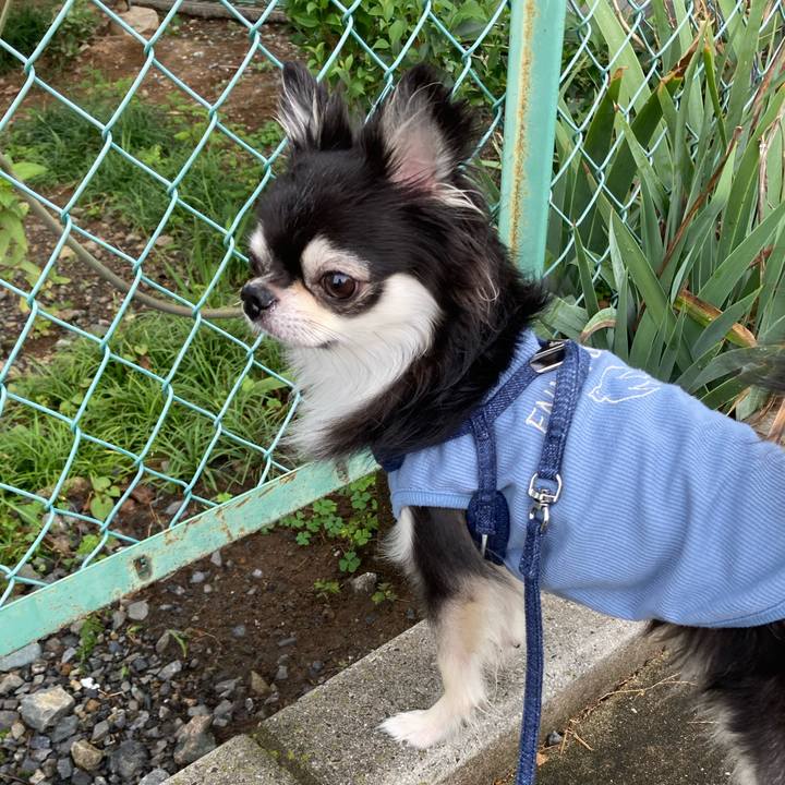 1bf1fb50 61c5 486e bcd4 ba61bf4fbf08 1665240701011