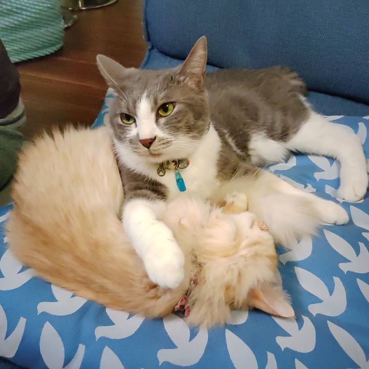 1bf21681 b47e 4547 be6d ae2262552bd6 1704974991156