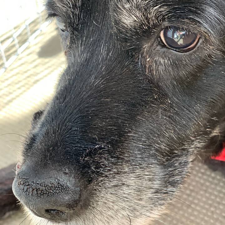 1bf223f4 a500 491f b161 c2e8371f6d5c 1654201595151