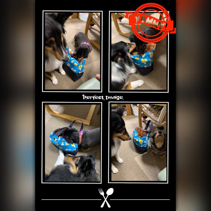 1bf232f7 f479 4035 bbf1 292cdcf75a6e 1584014925620