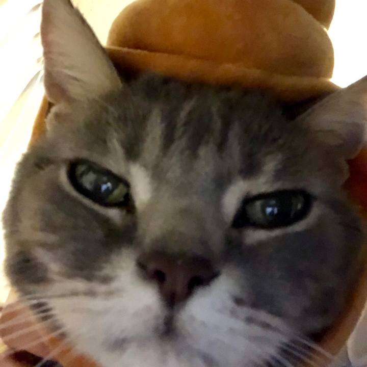 1bf254f7 391e 411a 86ae 68b5d320730f 1558688973533