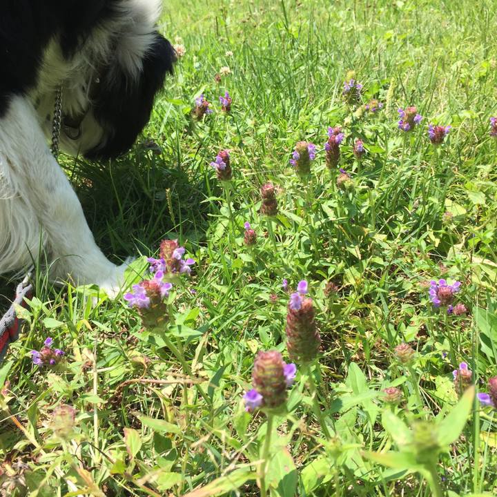 1bf26493 eefc 49aa 8191 b888260b08d4 1560169566279