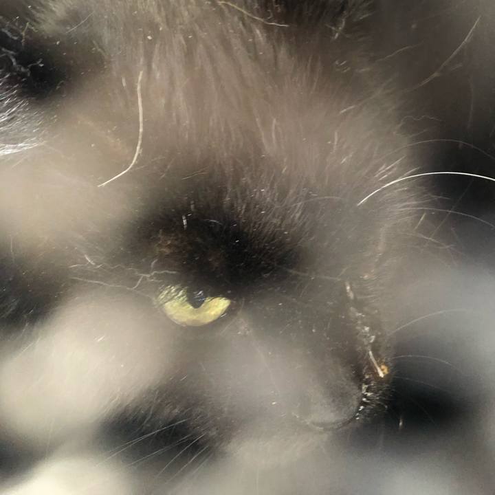 1bf2924c ceae 4311 b87e 6116e3b6fd85 1644030071437