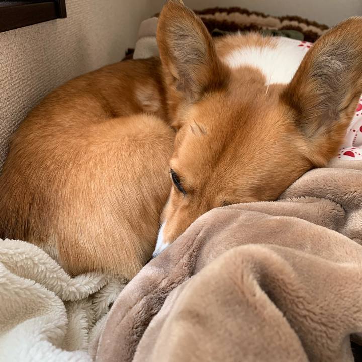 1bf29a9a 353d 4581 a80b e33f19e62f53 1609809650118