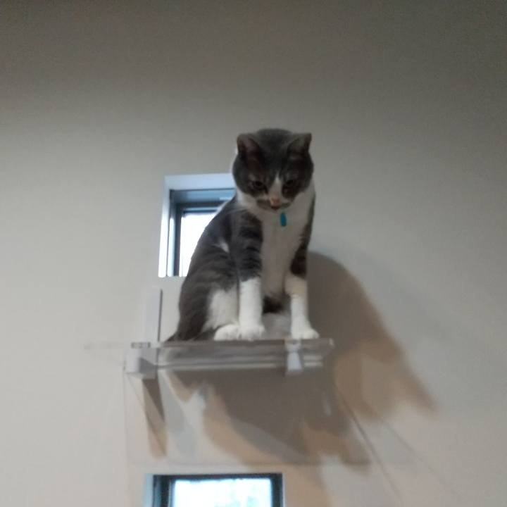 1bf2a8a3 2870 4502 9293 65dfb2bf7ea2 1635371645124