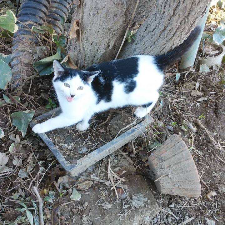 1bf2b763 40bc 4862 b4e3 03302045baa2 1574209152105