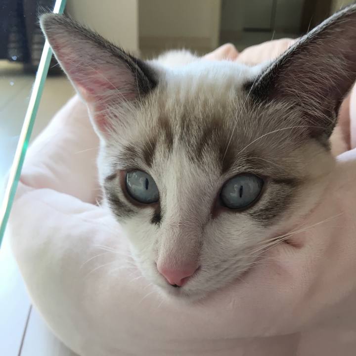 1bf2bab3 f1ec 4be8 be25 0d60d70bfdab 1511076726505