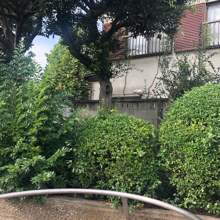 1bf2ece4 30c3 4eeb ad4f 5f1c75196bea 1568466726861