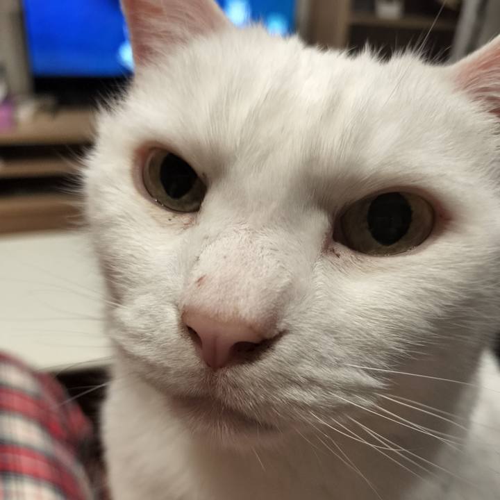 1bf2fbba fc17 4438 9a89 15ee5507f414 1773891210238