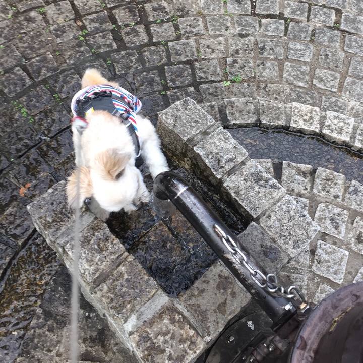 1bf30181 22ca 45d5 9868 b7454b7ea1a7 1565231187172