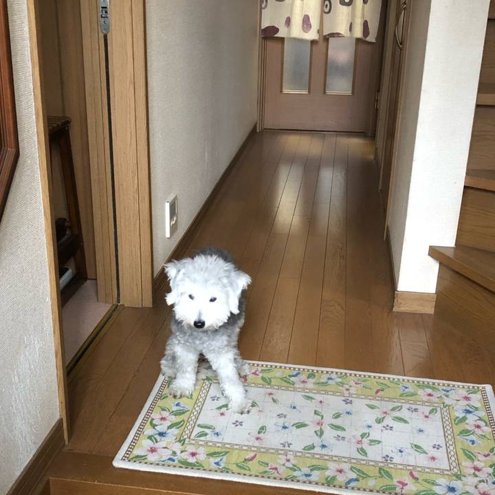 1bf35c6e 4661 4f2b bedd fd8292804655 1666051300609