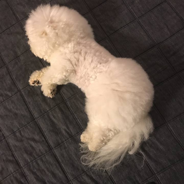 1bf3cf53 e1af 4e5e bc1b 3bb854af977d 1534500452033