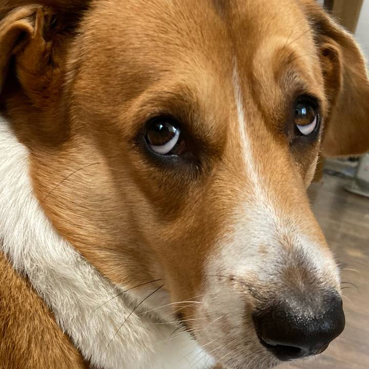 1bf3d49d 8887 4571 9aa7 6da6c126b992 1670372224473