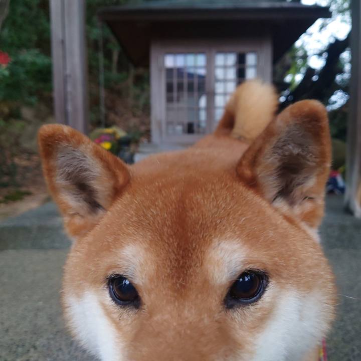 1bf3e471 92b5 46f5 870e b590a3b1de55 1770420286148