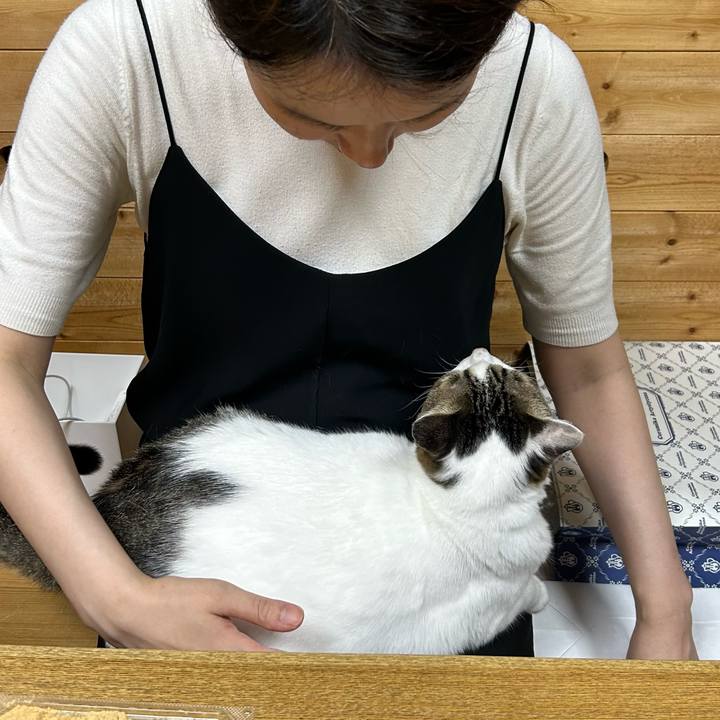 1bf3e935 67ae 4111 b416 c675d299d991 1688745419463