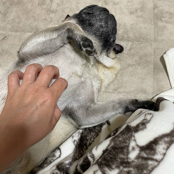 1bf40fc9 0402 47e2 a7dc 8e77e0ab26f4 1619352770633