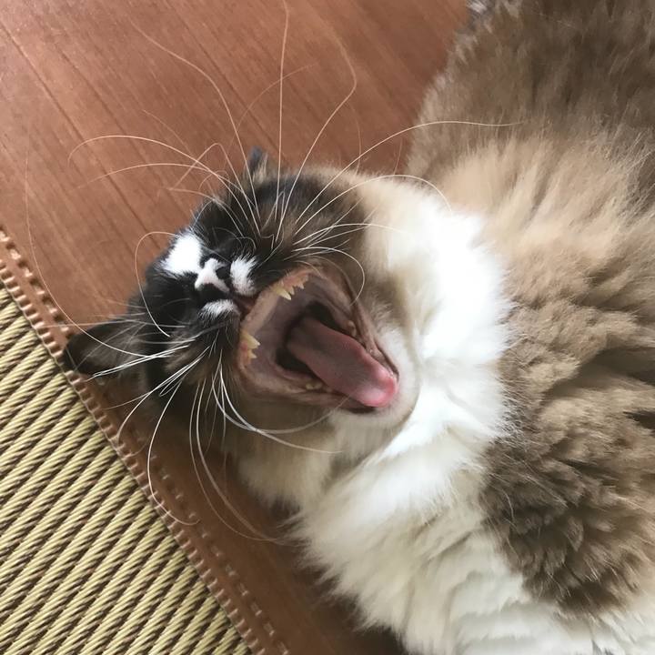 1bf41bf7 b687 4d92 99bd e82d77dc1194 1521285347638