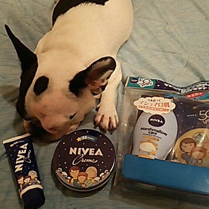 1bf4295d 8e27 447f b156 7b49ca1e8eea 1537794203456