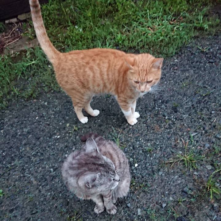 1bf45eee 1f64 4ee6 af25 8a4cfe52db73 1566984975258