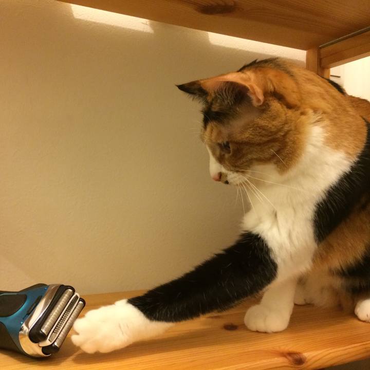 1bf46ba9 484c 4758 a3f8 cdb8db4488b9 1507900251078