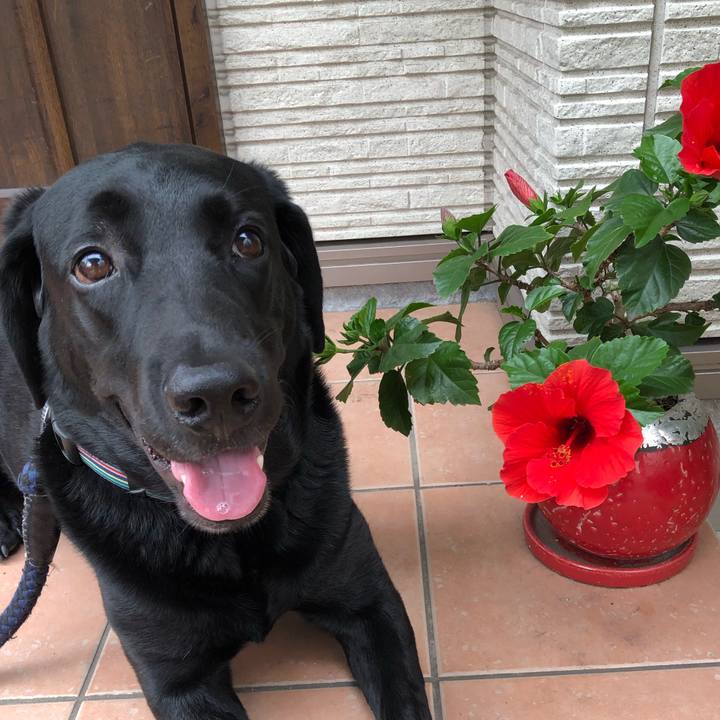 1bf47f55 6cf0 4887 a255 fc74eec7086c 1602329166374