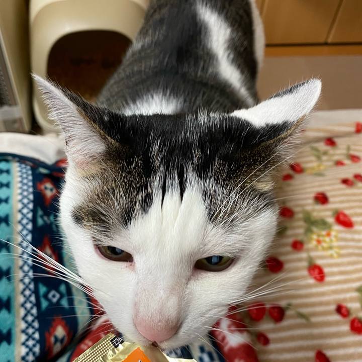 1bf4b62e f047 49ba 8234 31fd15272a4b 1767609610713