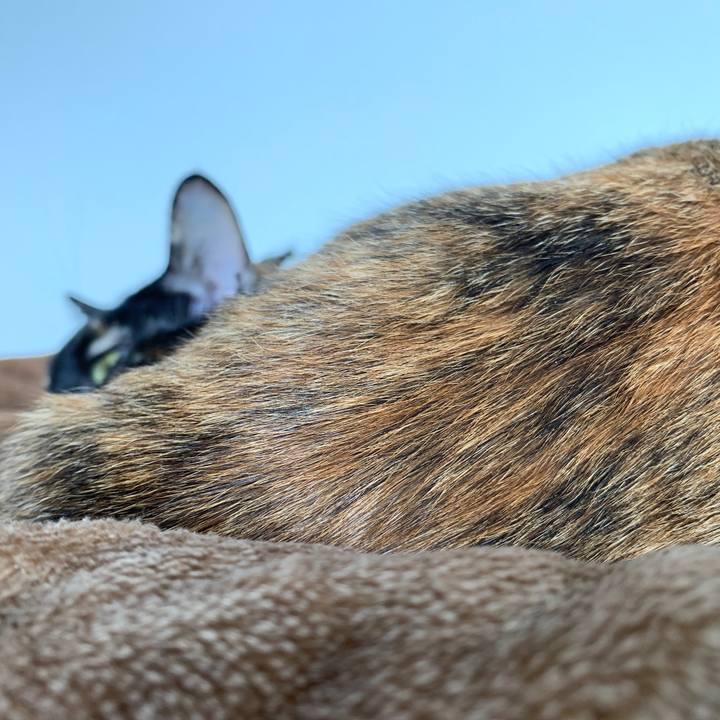 1bf4cb53 a06a 4bed b7e6 58a503f378d8 1571370457153