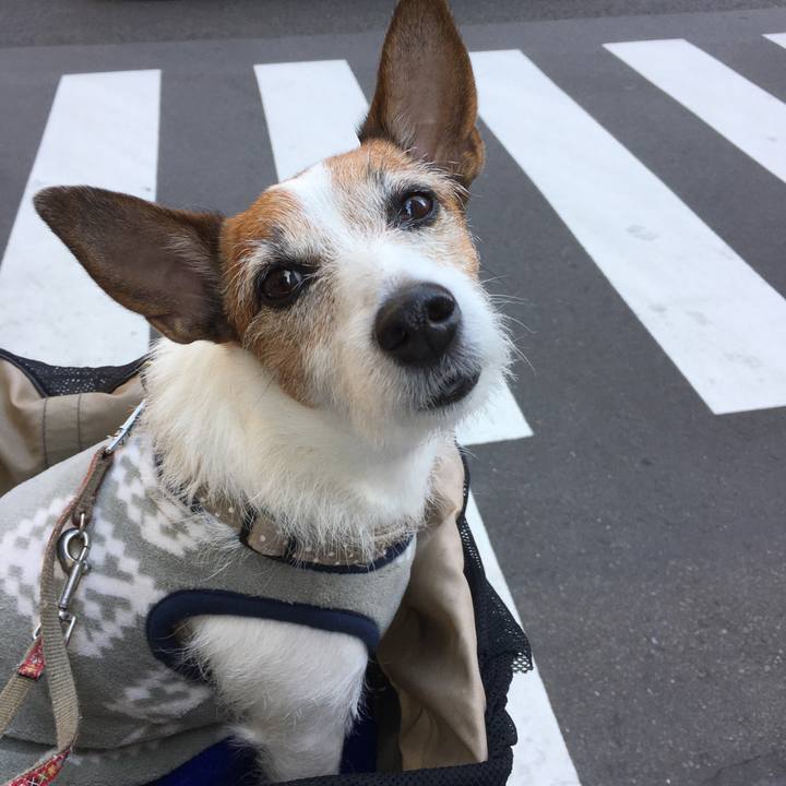 1bf4cd1c bd06 460b b75c 1fd25e56e386 1589239868423