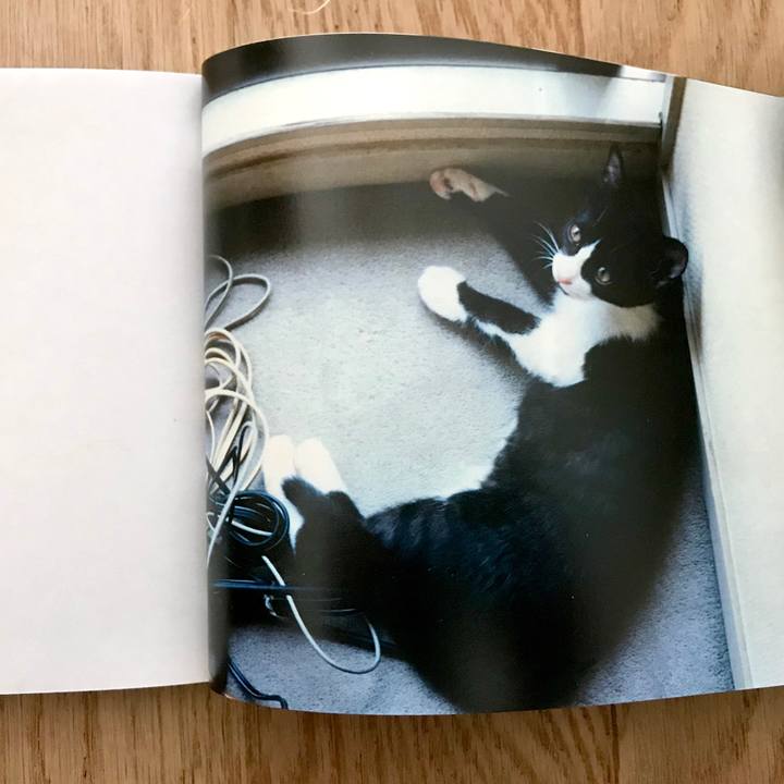 1bf4da55 9837 4f7f beef cac0ef08d98f 1562994088789