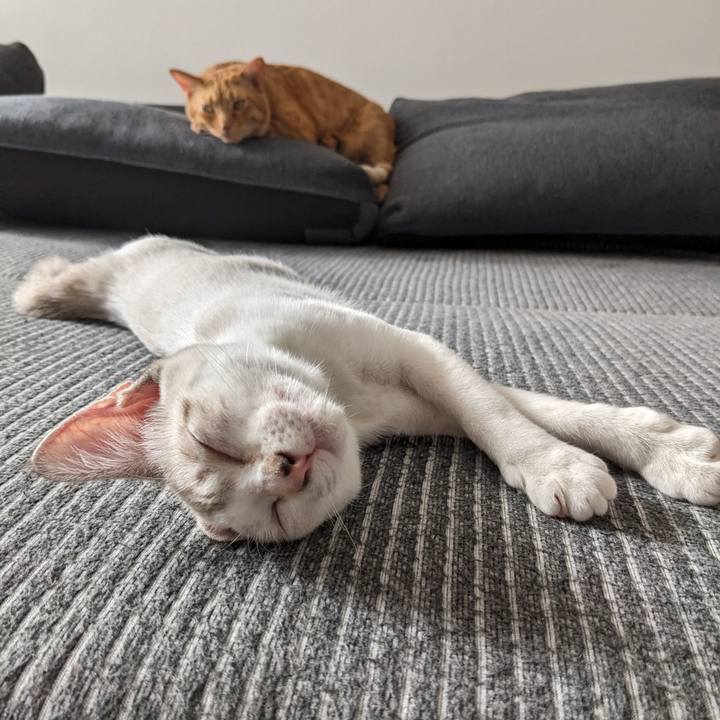 1bf4db1b 2956 46cb 95e6 6feb2b2f8ea9 1693478048276