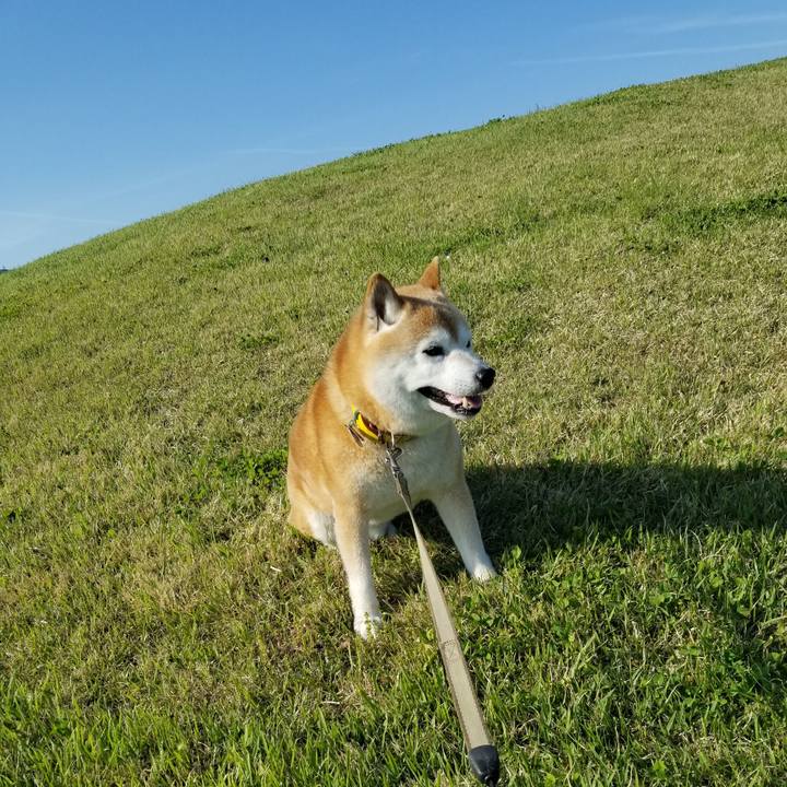 1bf50a71 c052 45a1 aa8c 1bbd680a4c43 1683875100681