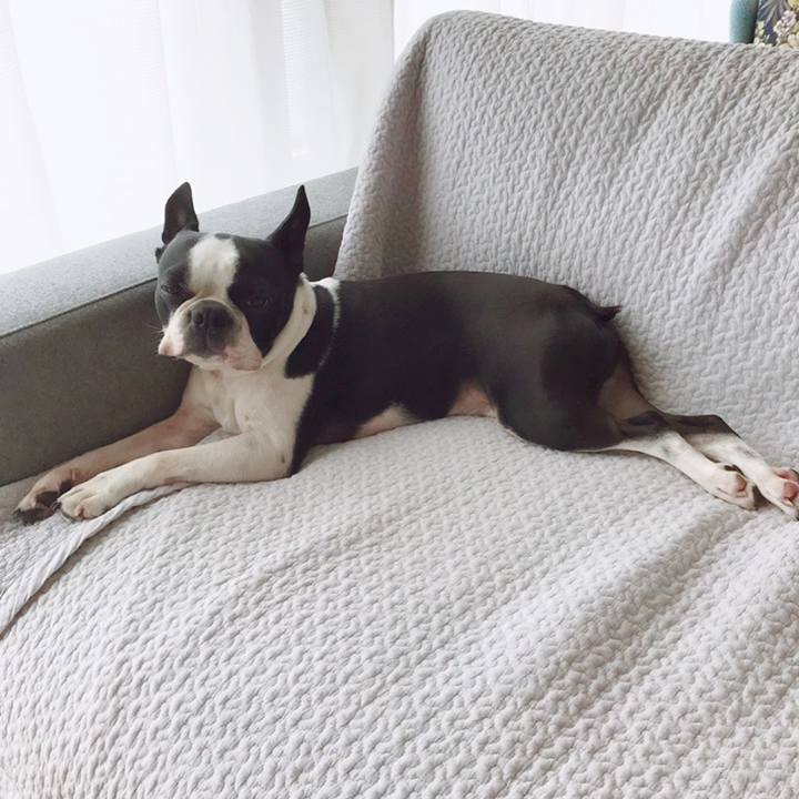 1bf52671 d918 470c 9796 e9e8d3719d15 1558665693656