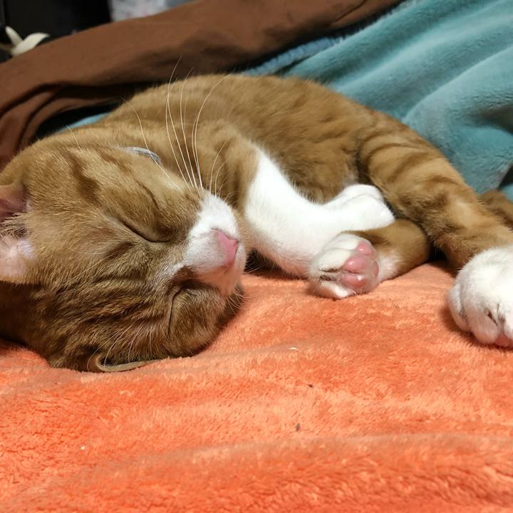 1bf54278 d792 4ac6 90ab 711f99e39bae 1555573273072